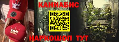 крисы Тверь